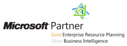 RELion Microsoft Gold- und Silber-Partnerschaft Logo